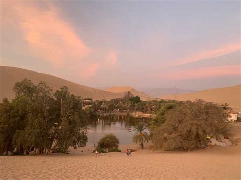 From Lima Ballestas Islands Huacachina Oasis Winery Tour Getyourguide