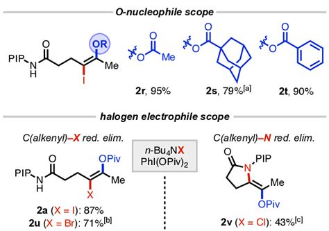 Scheme 2 Scope Of Nucleophile And Electrophile [a] 90 °c 30 Min [b] Download Scientific