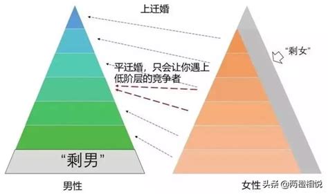 「剩男」「剩女」是怎樣形成的？ 每日頭條