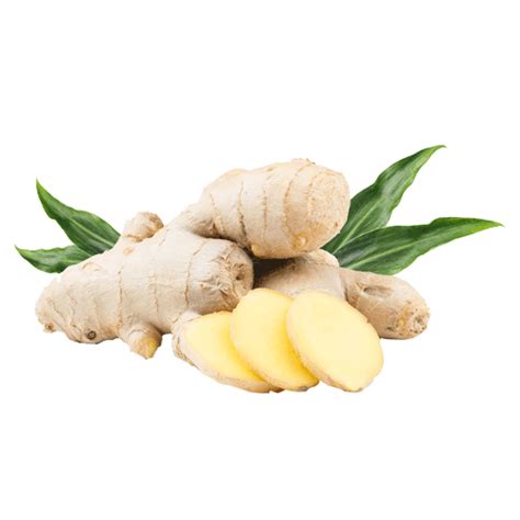 Fresh Galangal Png Pic Png Mart