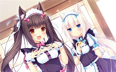 Nekopara Wallpapers Wallpaper Cave