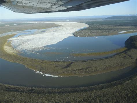 Galena In Alaska Eisfeld Verursacht Überschwemmungen Der Spiegel