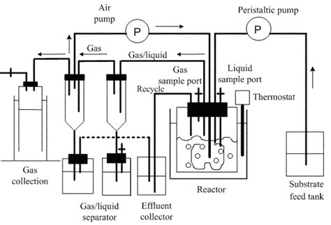 Configuration Of An Anaerobic Completely Stirred Tank Reactor Cstr