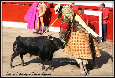 Zorro Corredero De Cadalso De Los Vidrios Im Genes Del Cristo