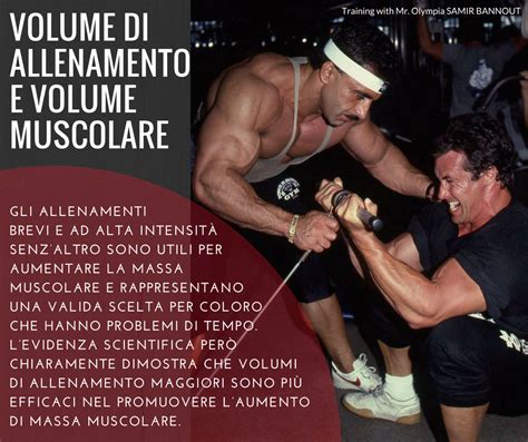 VOLUME DI ALLENAMENTO E VOLUME MUSCOLARE Dr MASSIMO SPATTINI