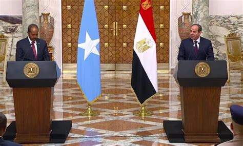 Egyptian Somali Presidents Affirm Need To Reach Binding Deal On Gerd Without Delay Egypttoday