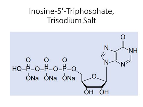 Guanosine Monophosphate Disodium Salt Akonscientific