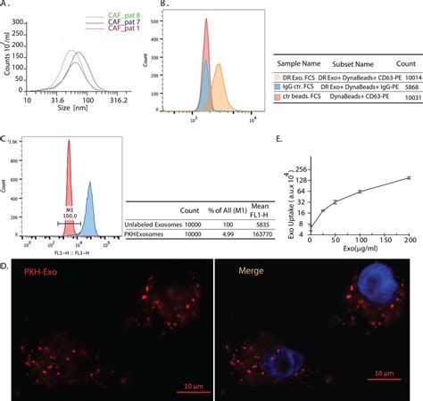 Figures And Data In Tumor Microenvironment Derived Exosomes