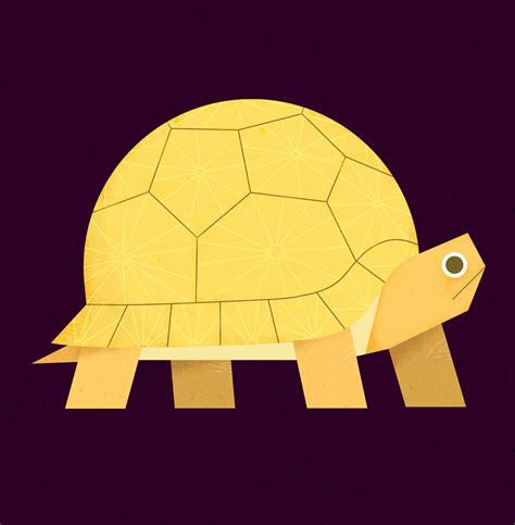 Animals on Behance