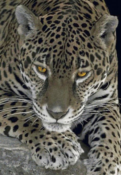 Схема вышивки «№1692188» - Вышивка крестом