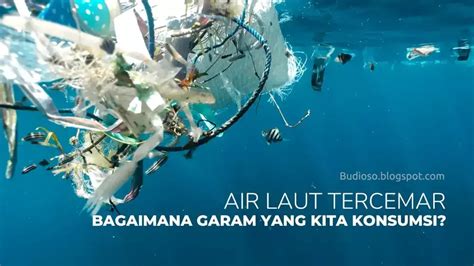 Bagaimana Garam Yang Kita Konsumsi Jika Laut Tercemar Limbah Dan Sampah