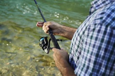 Mastering River Trout Fishing With A Spinning Reel Tips And Techniques