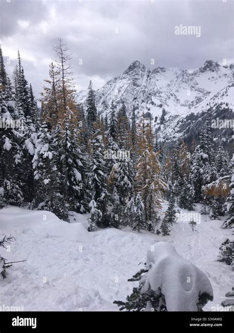 Blue Lake Trail North Cascades National Park Washington Stock Photo Alamy