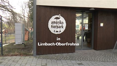 Amerika Tierpark Limbach Oberfrohna YouTube