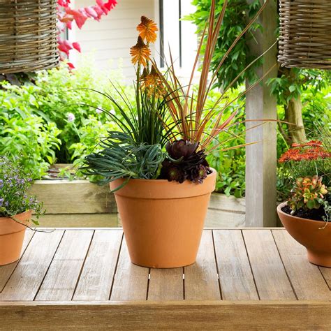 Northcote Pottery Terracotta Garden Pot Pots And Planters Mitre 10™