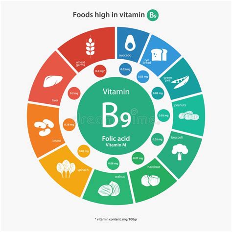 Foods high in vitamin B9 stock vector. Illustration of nutrition - 67495649