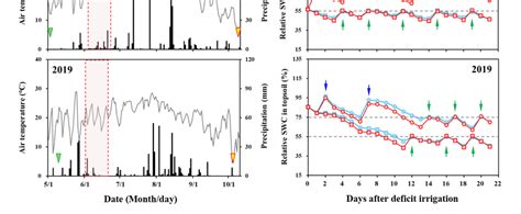 Daily Precipitation Bars And Average Air Temperature Line