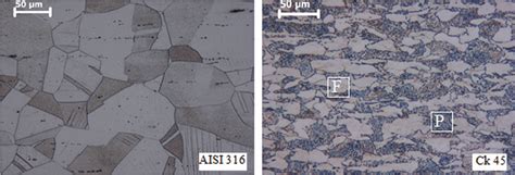 Optical Microstructure Of Aisi 316 Austenit And Ck 45 Steels F