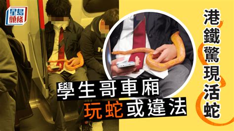 港鐵驚現活蛇 學生哥車廂玩蛇或違法｜juicy叮