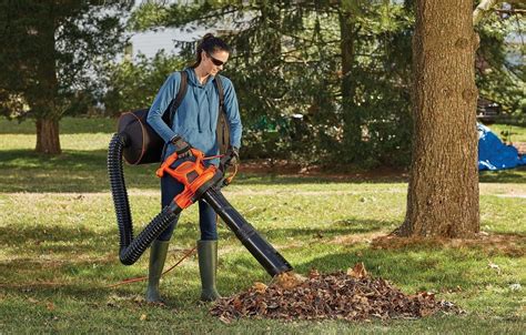 5 Things You Need To Know Before Buying A Leaf Blower Toms Guide