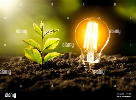 Glowing Led Light Bulb Ecological Friendly And Sustainable Environment