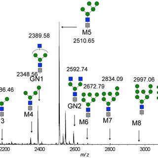 Maldi Qit Tof Ms Spectrum Of Bz Labeled Glycopeptides From Anti Her