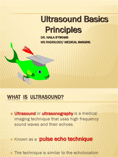 Understanding Ultrasound An Introduction To The Principles And