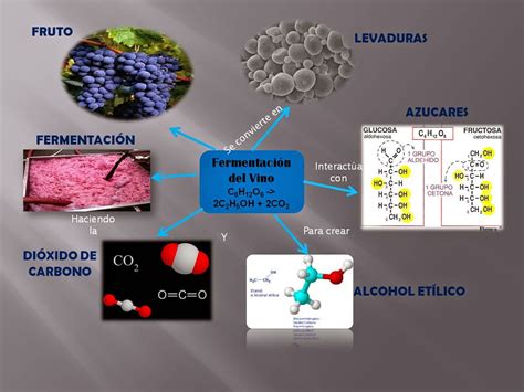 Historia del Vino PROCESO DE FERMENTACIÓN DEL VINO