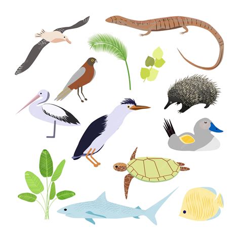 Premium Vector | Australian animals. illustration in flat style.the ...