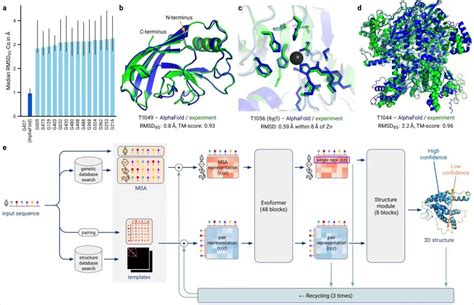 谷歌提前开源alphafold 2！nature、science同时公开两大蛋白质结构预测工具 知乎