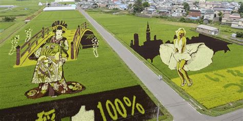 Japanese Rice Field Art Mag Files Mag The Weekly