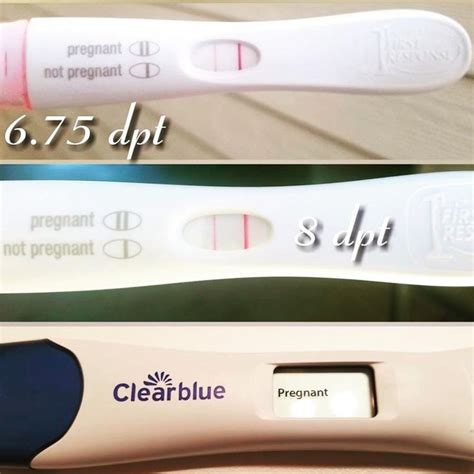 Surrogate Solutions Llc On Instagram “look At Those Beautiful Positivepregnancy Tests