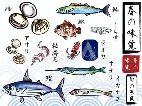 春の味覚 魚介類イラスト No 1453275｜無料イラスト・フリー素材なら「イラストac」