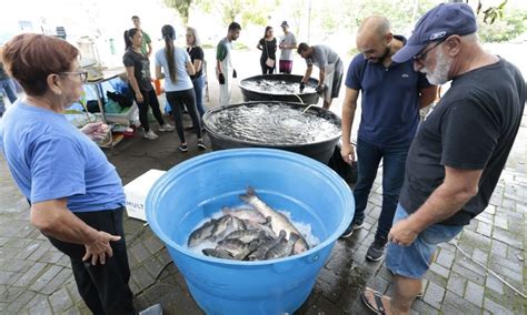 Joinville Tem Feira Do Peixe Vivo Nesta Quinta E Sexta Feira Confira