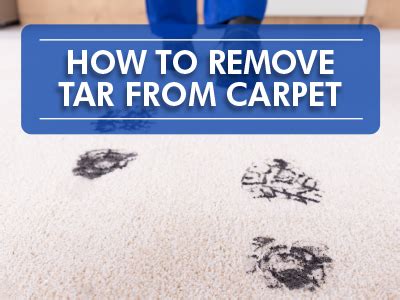 How To Get Tar Out Of Carpet The Best Products And Methods