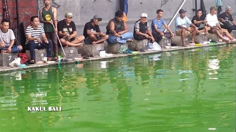 Lomba Mancing Galatama Ikan Lele Size Monster Kg Up Youtube