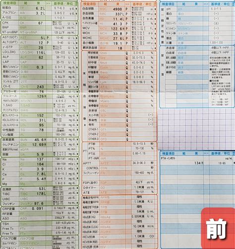 【9月】在宅血液透析外来報告（血液検査結果等） 腎生を善く生きる~在宅血液透析患者のリアル~