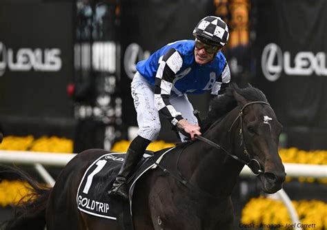 Gold Trip Wins The Melbourne Cup