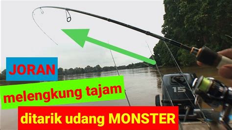 GANASNYA TARIKAN UDANG MONSTER JORAN AUTO MELENGKUNG TAJAM YouTube