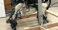 Video: Scientists Create Biologically Accurate Walking Robot Legs | WIRED