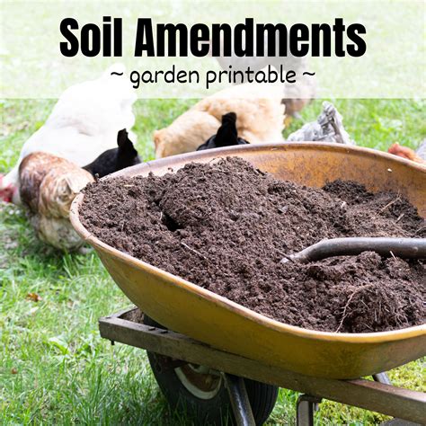 Garden Soil Amendments Guide The Pioneer Chicks