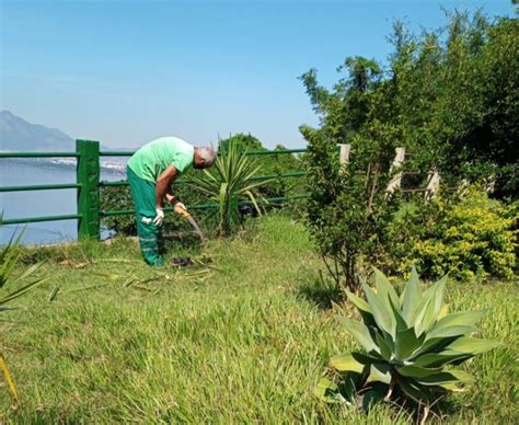 Ilha Do Governador Recebe A Es Da Funda O Parques E Jardins