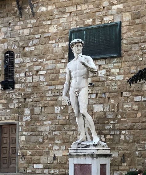 Piazza Della Signoria In Firenze