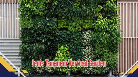 Temukan Jenis Tanaman Vertical Garden Yang Mudah Dirawat Untuk Pemula