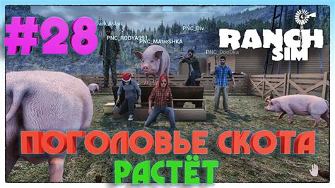 Ranch Simulator ХОЗЯЙСТВО НА ФЕРМЕ РАЗРАСТАЕТСЯ 28 Youtube