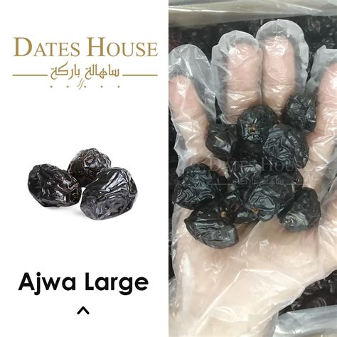 Kurma Ajwa Safawi Mariami Mabroom Medjoul Sukkari Ambar