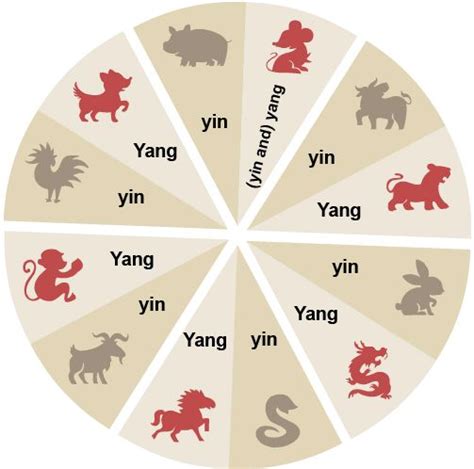 What Are The 12 Animals Of The Chinese Zodiac In Order