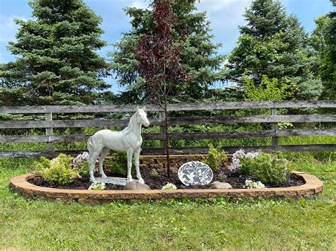 About Country Ridge Stables Facilities Barn And Full Service Stalls