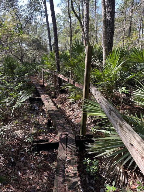 The People, the Places and the Perils of the Florida Trail - The Trek