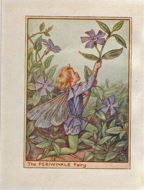 Flower Fairies The Periwinkle Fairy Vintage Print C1930 By Cicely Mary